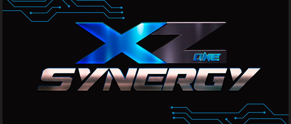 XZone Synergi - 2020